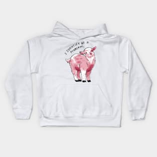 I Identify as a Problem Goat Kids Hoodie